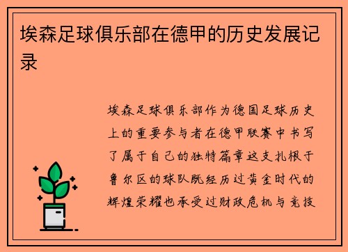埃森足球俱乐部在德甲的历史发展记录